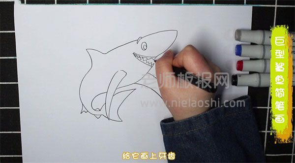 巨型鲨鱼简笔画图片 鲨鱼怎么画的