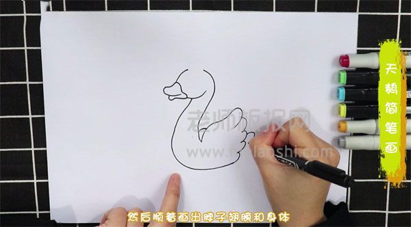 天鹅简笔画图片 天鹅如何画的
