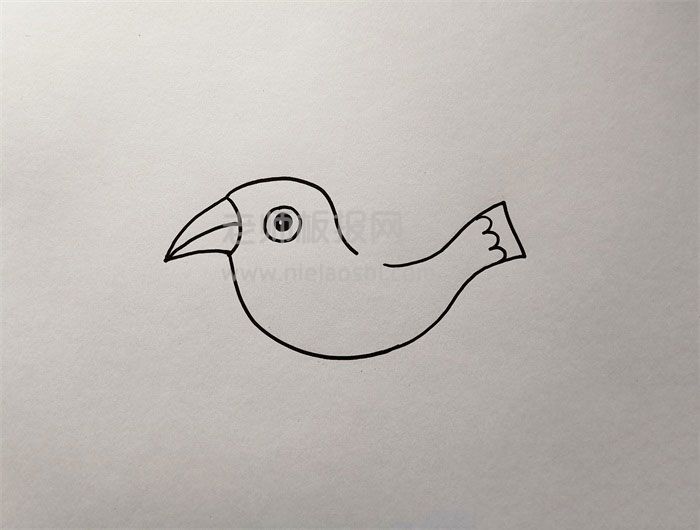 最简单的海鸥简笔画图片 海鸥怎么画的