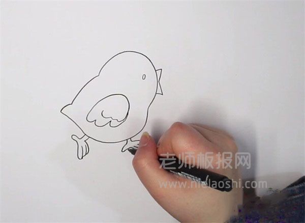 小鸡简笔画图片 鸡如何画