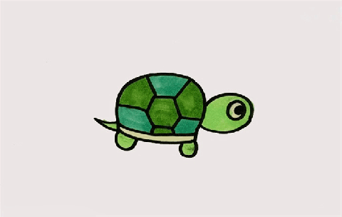 乌龟简笔画图片 乌龟的画法