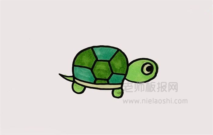 乌龟简笔画图片 乌龟的画法