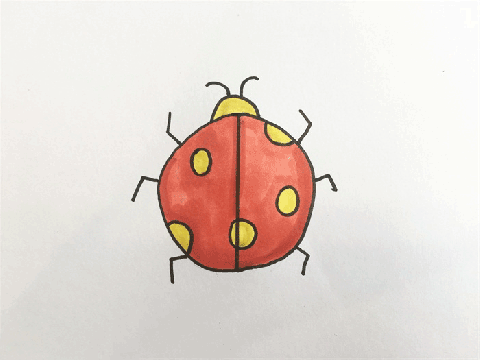 昆虫简笔画图片 昆虫的画法