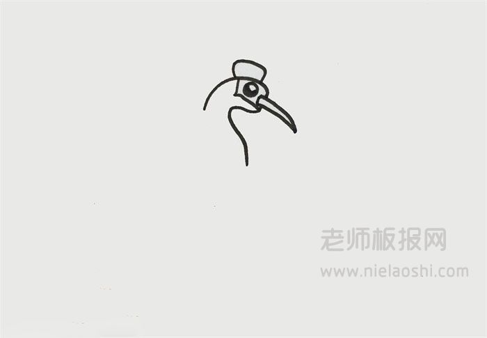 丹顶鹤简笔画图片 丹顶鹤的画法