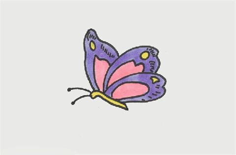 蝴蝶简笔画图片 蝴蝶的画法