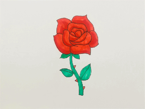 盛开玫瑰花简笔画图片 玫瑰花的画法
