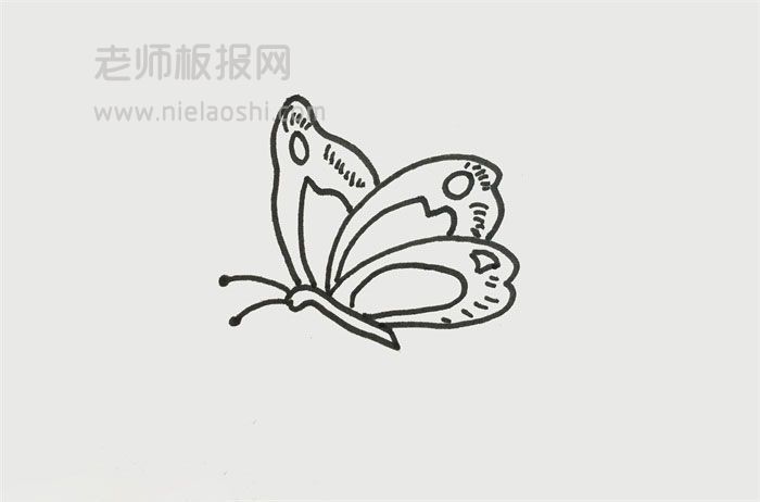 蝴蝶简笔画图片 蝴蝶的画法