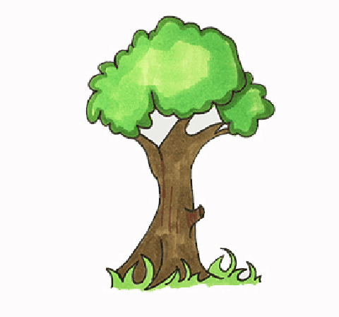 绿色的大树简笔画图片 树的画法