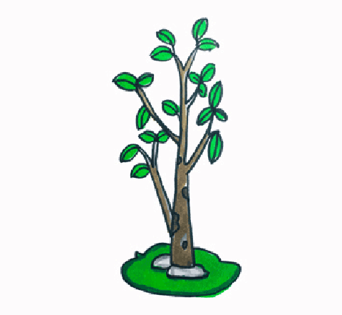 绿色的小树简笔画图片 小树怎么画