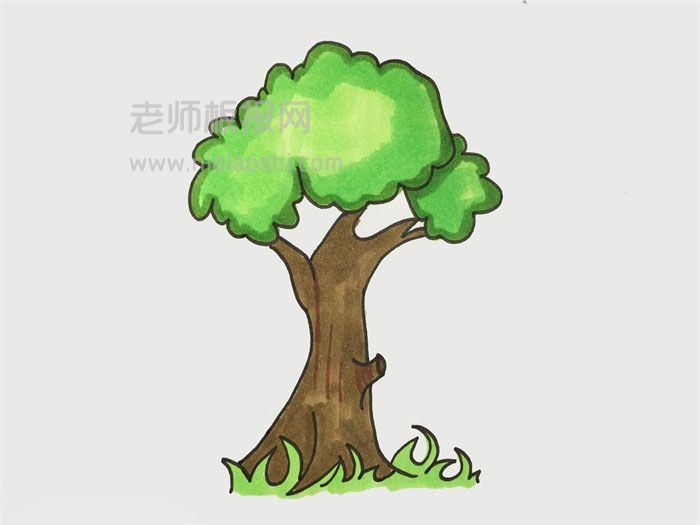 绿色的大树简笔画图片 树的画法