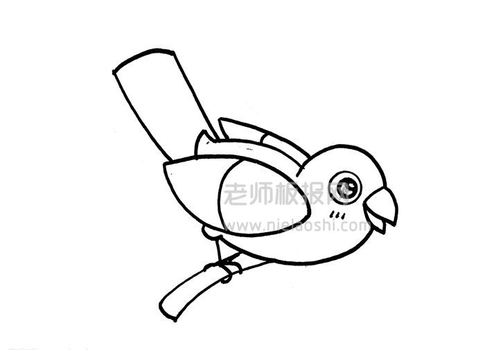 QQ红包鸟简笔画图片 鸟怎么画