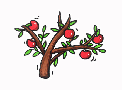 苹果树简笔画图片 苹果树怎么画