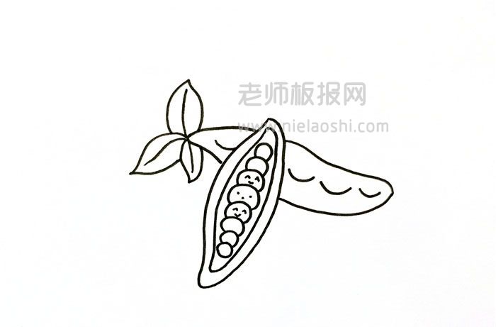 QQ红包豌豆简笔画图片 豌豆怎么画