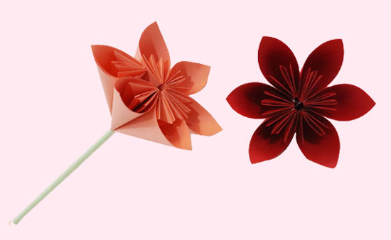 花的折纸图片 花是怎么折的