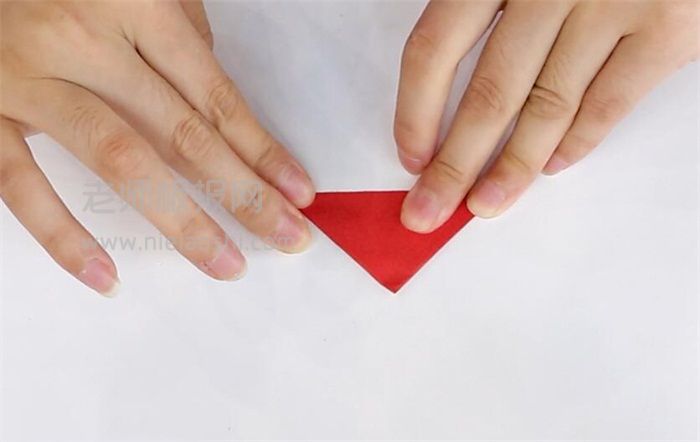 简单的康乃馨折纸图片 康乃馨是怎么折的
