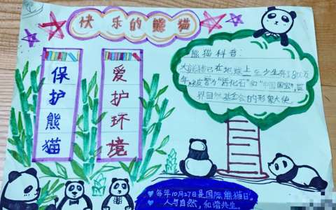 保护熊猫爱护环境手抄报图片