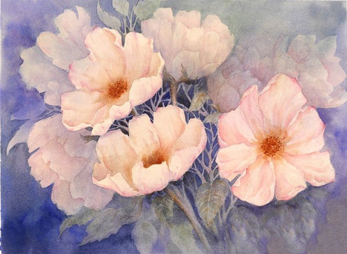 玛丽安布鲁姆水彩画作品图片，超唯美的花卉