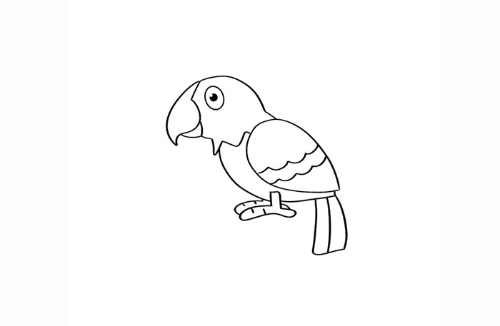鹦鹉简笔画图片 鹦鹉怎么画的