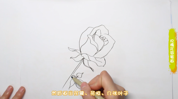 玫瑰花简笔画图片 简单的玫瑰怎么画