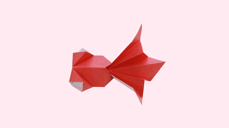 金鱼折纸教程图片 金鱼是怎么折的