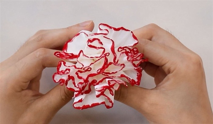 康乃馨折纸视频教程图片 康乃馨是怎么折的