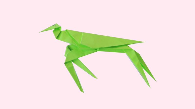 螳螂折纸教程图片 螳螂是怎么折的