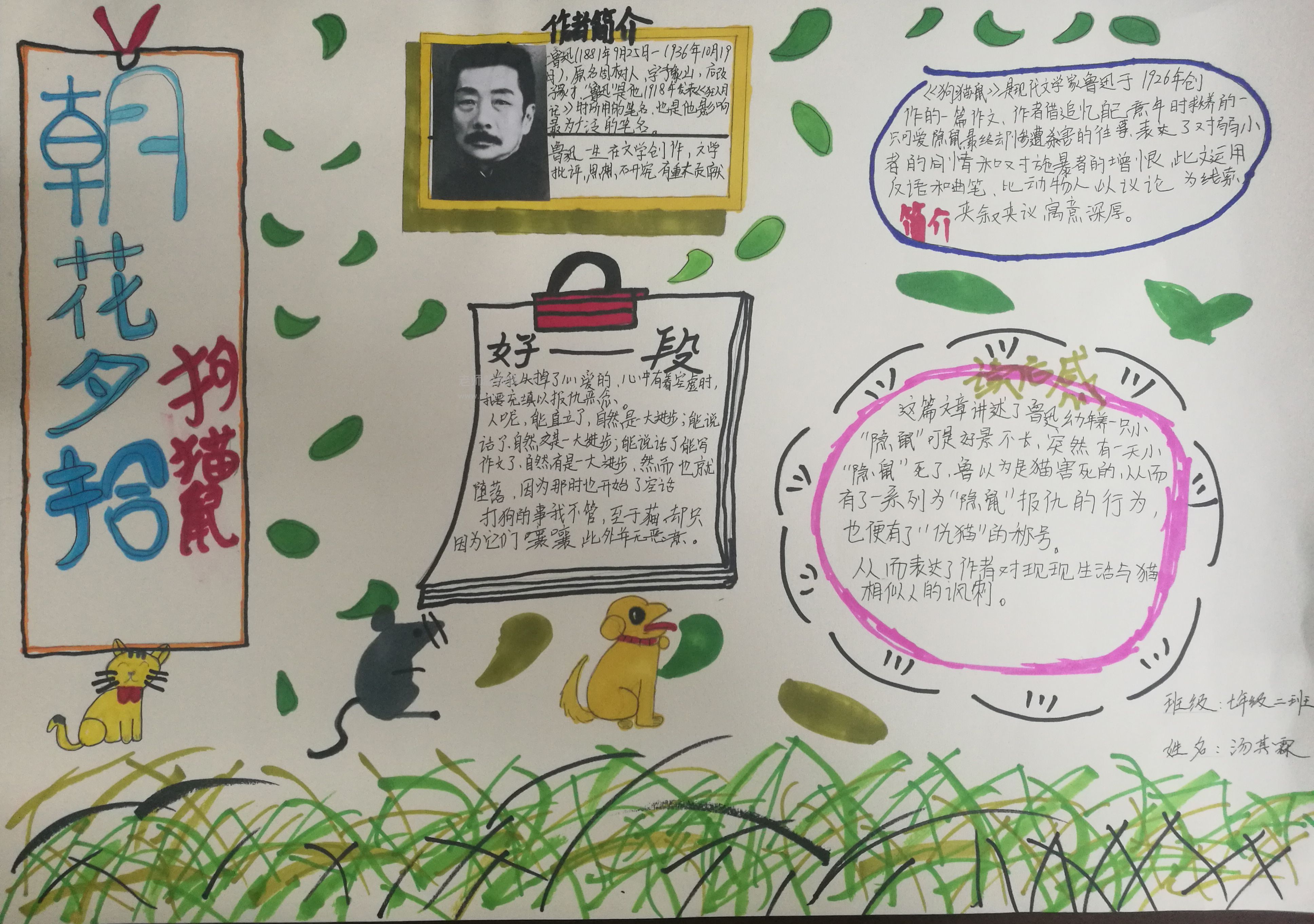 关于鲁迅的作品《朝花夕拾》中《猫 狗 鼠》手抄报图片