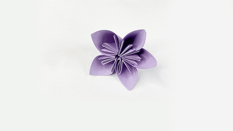 简单纸折花教程图片 小花朵如何折