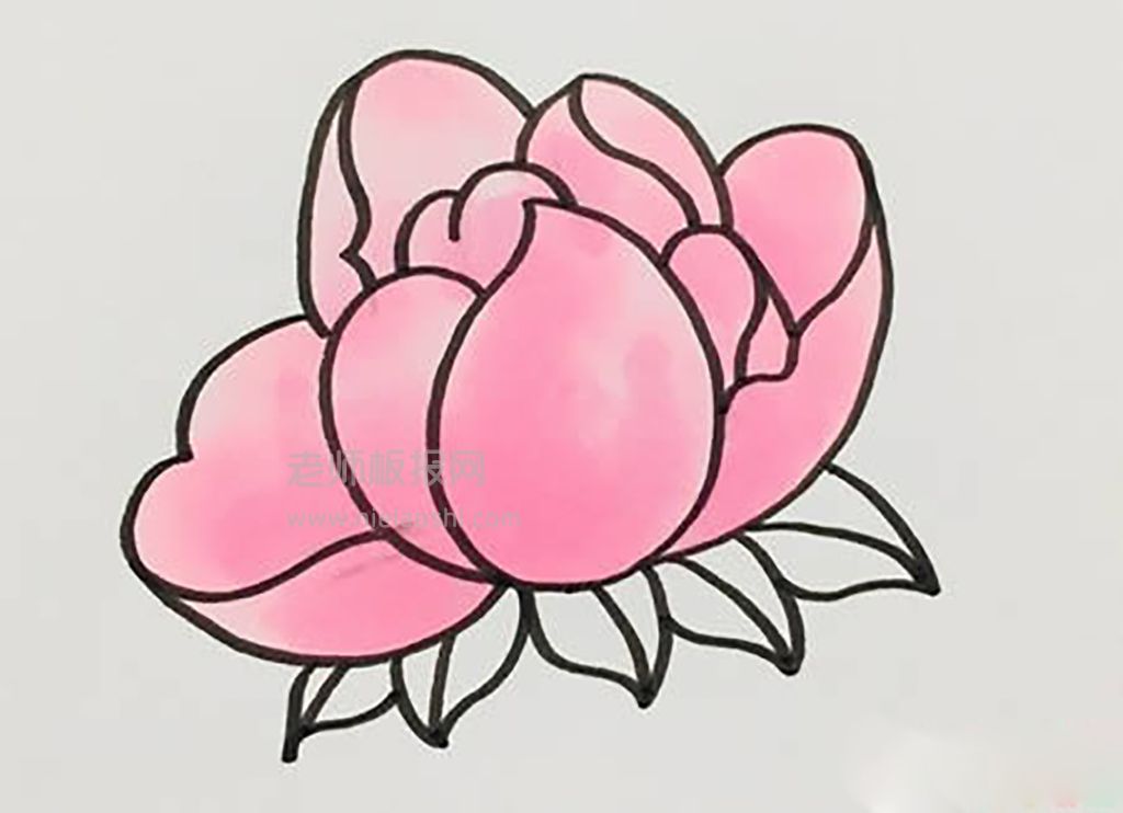 芍药花朵简笔画图片  芍药花朵是怎么画的