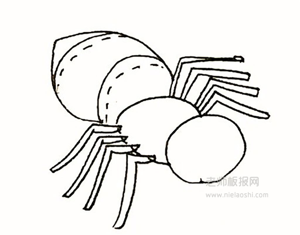 蜘蛛简笔画图片 蜘蛛是怎么画的