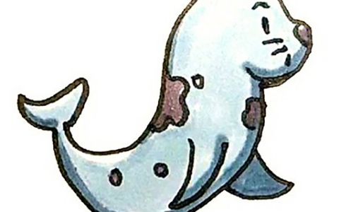 海豹的简笔画图片 海豹是怎么画的
