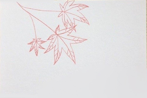 枫叶植物简笔画图片 枫叶是怎么画的