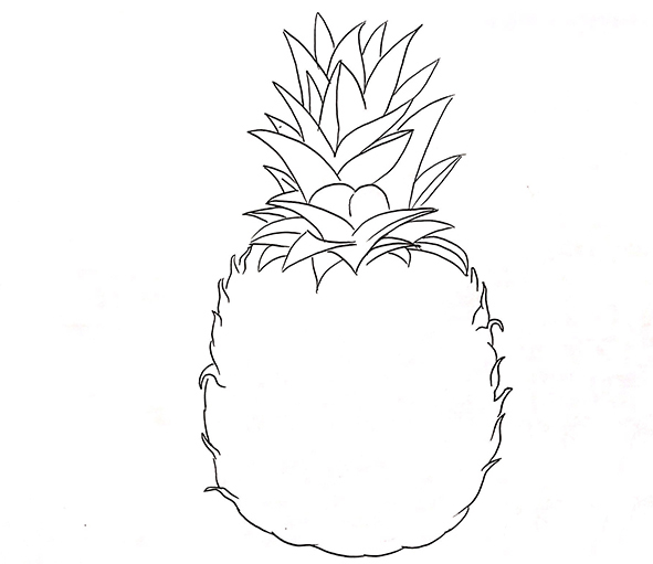 菠萝简笔画图片 菠萝如何画的