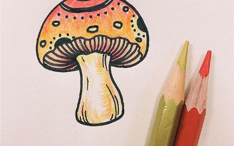 彩色蘑菇简笔画教程图片 彩色蘑菇是怎么画的