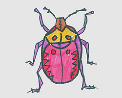 简笔画有颜色瓢虫 一步一步教可爱瓢虫的画法