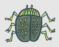 儿童简笔画色彩小甲虫的画法
