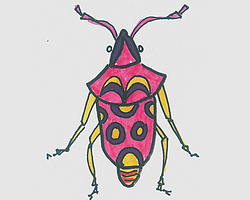 儿童简笔画有颜色甲虫怎么画简单又好看 可爱小甲虫的画法