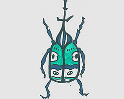 小甲壳虫的画法 简笔画甲壳虫怎么画简单又好看