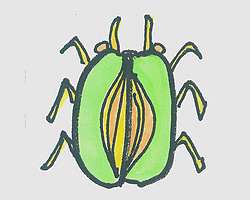 甲壳虫的画法 简笔画图片甲壳虫怎么画最简单