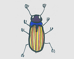 简笔画图片甲虫 一步一步教甲虫画法