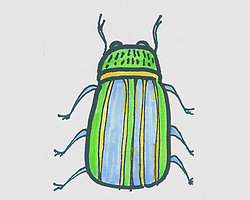 简笔画色彩可爱甲虫怎么画简单又好看