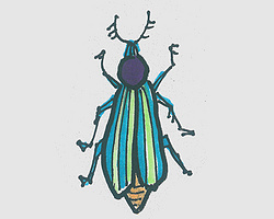 儿童简笔画色彩甲虫的画法