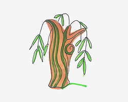 3-6岁简笔画教程 卡通小柳树的画法图解