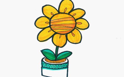 幼儿简笔画涂鸦 可爱简笔画向日葵怎么画