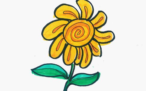 幼儿创意简笔画向日葵怎么画