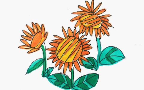 儿童彩色简笔画 创意简笔画向日葵怎么画