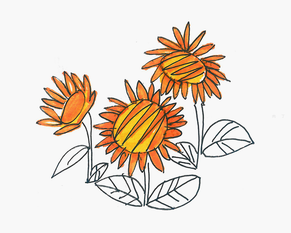 儿童彩色简笔画 创意简笔画向日葵怎么画