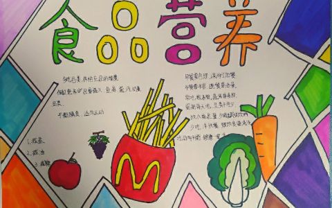 小学生《食品营养健康》主题手抄报简单绘画图文