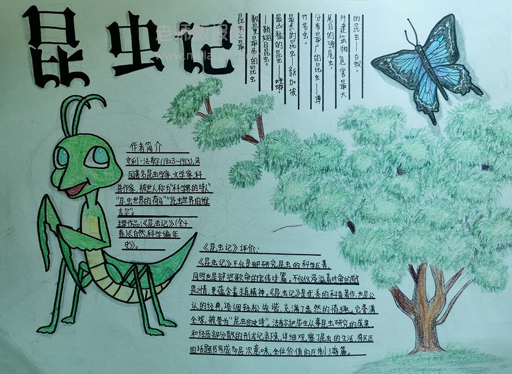 法布尔《昆虫记》手抄报图片高清图片-含图片-文字内容