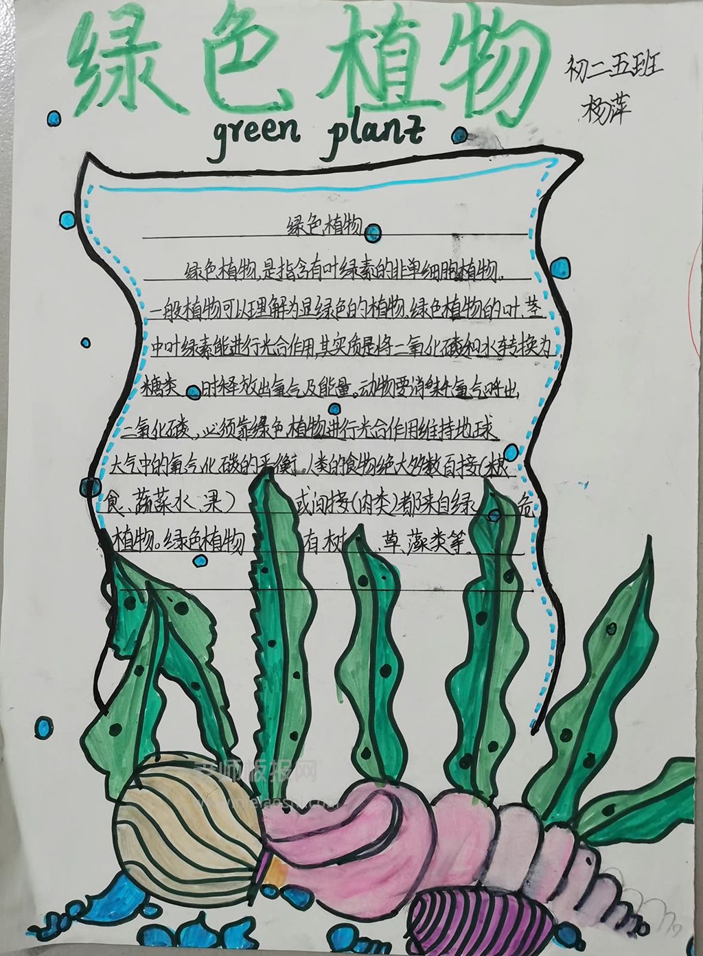 初二年级《生物·绿色植物》手抄报图片+文字内容